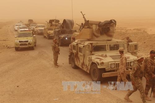 Силы безопасности Ирака освободили села в провинции Анбар, уничтожив десятки боевиков ИГ - ảnh 1